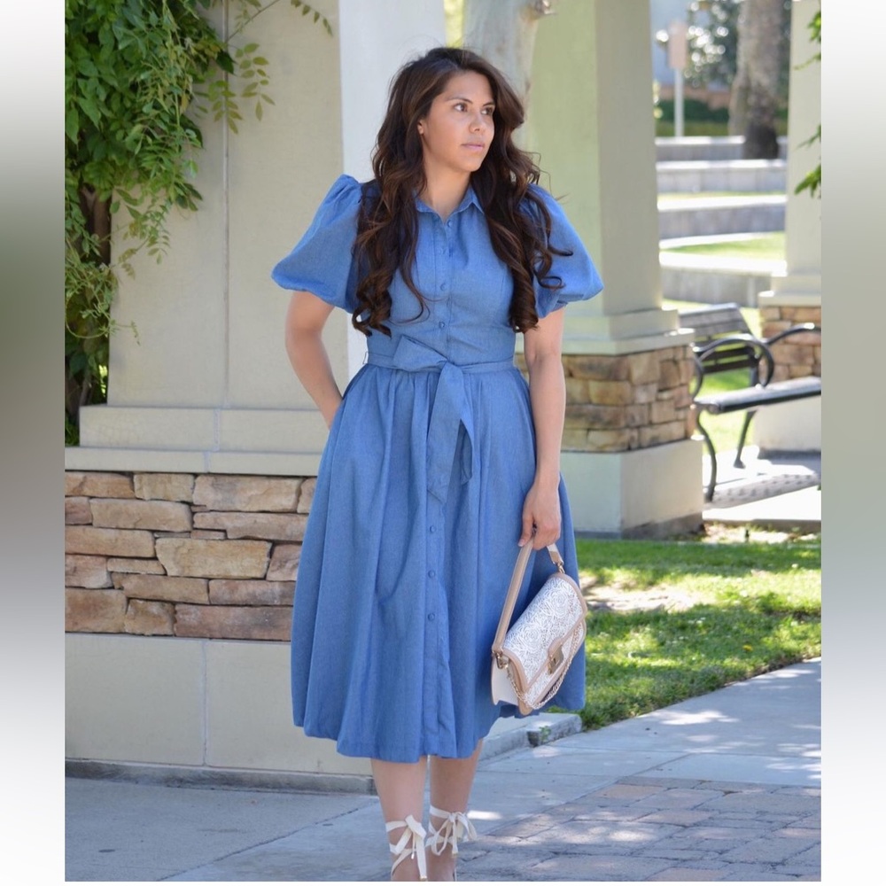 Skirt Society Denim Dress